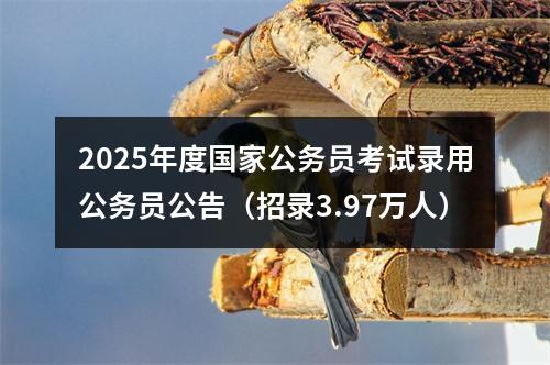 2025年度国家公务员考试录用公务员公告（招录3.97万人） 图片