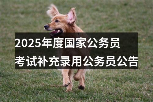 2025年度国家公务员考试补充录用公务员公告 图片
