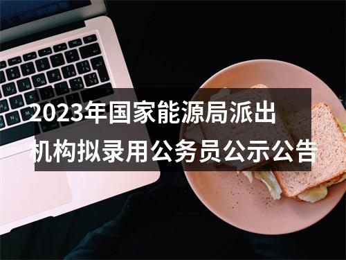 2023年国家能源局派出机构拟录用公务员公示公告 图片