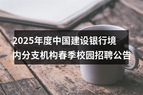 2025年度中国建设银行境内分支机构春季校园招聘公告 图片