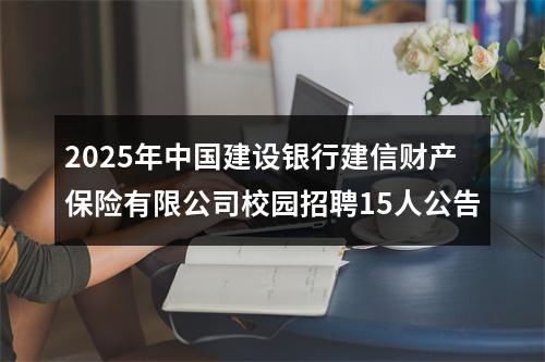 2025年中国建设银行建信财产保险有限公司校园招聘15人公告 图片