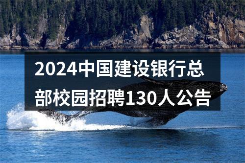 2024中国建设银行总部校园招聘130人公告 图片
