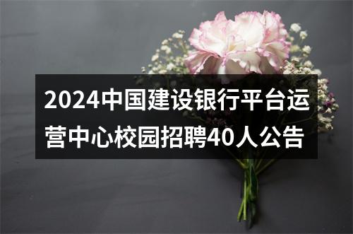 2024中国建设银行平台运营中心校园招聘40人公告 图片
